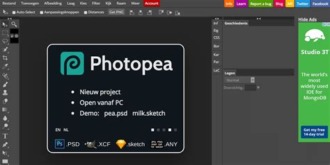 The work offers sRGB color space as it is the basic web color space. . Photopea download